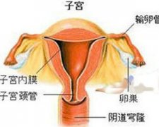 �ӹ����׵�Σ������